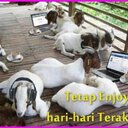 Jesse Michael - @JesseMichael20 - Twitter