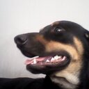 Maria couoh - @couoh_maria - Twitter