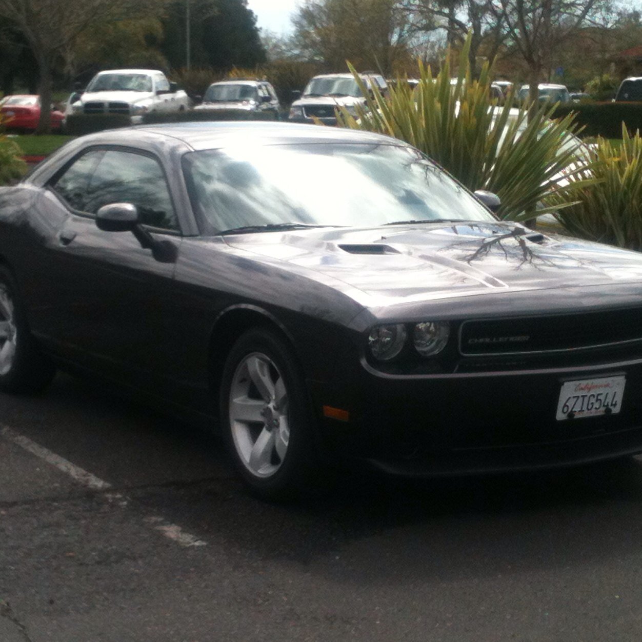 BarneyFerns's profile picture. Sports fan, mostly follow the underdog 💪 #thevillage #leix #MOT #HTTR