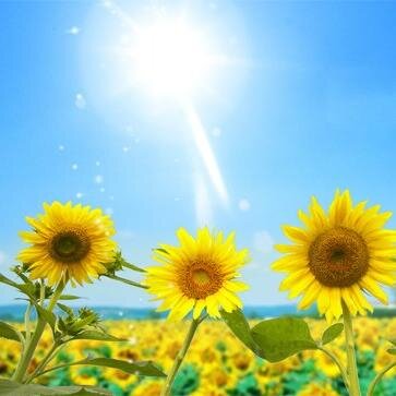 glassmask85's profile picture. 