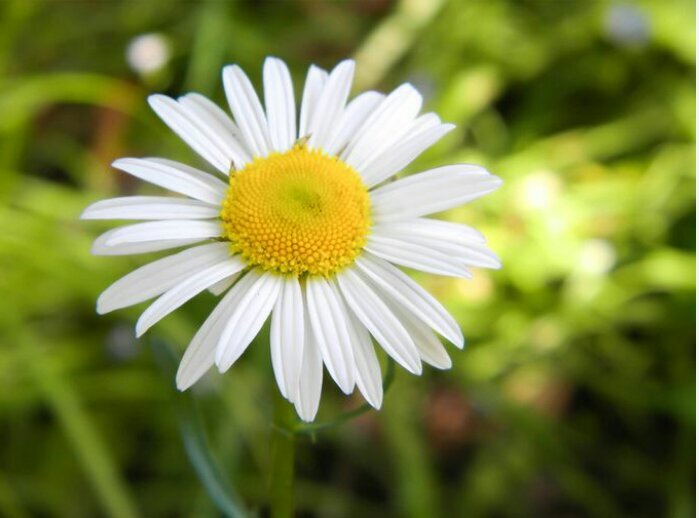 KuriousPhoto's profile picture. 