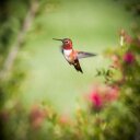 Paula Bray - @PaulaBray11 - Twitter