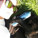 Denise Spada - @SpadaDenise - Twitter