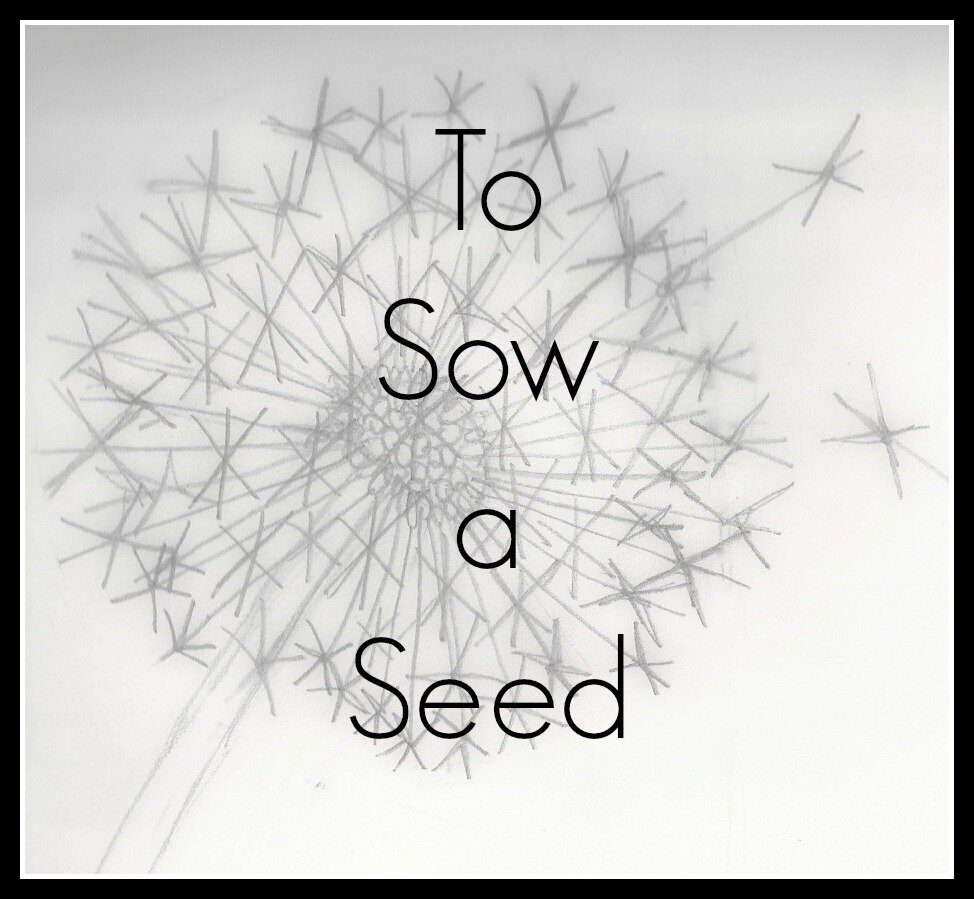 To_Sow_a_Seed's profile picture. 2 adults, 9 kids, and 1 big God.