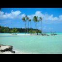 daniela crisan - @dlc71091 - Twitter