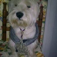 Pepe Teruel (@pepeteruelruz) 's Twitter Profile Photo Pepe Teruel (@pepeteruelruz) 's Twitter Profile Photo