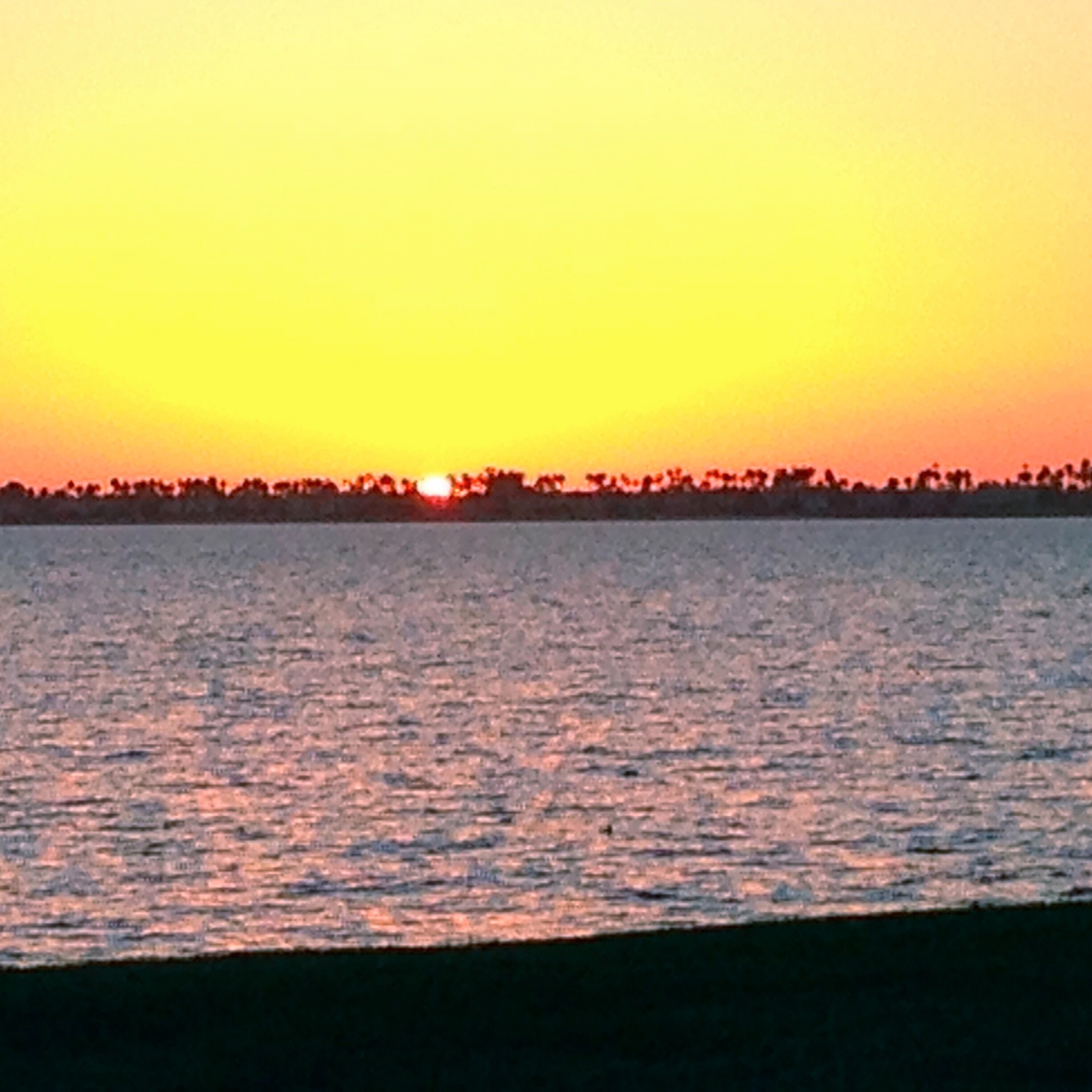 justme1111's profile picture. 