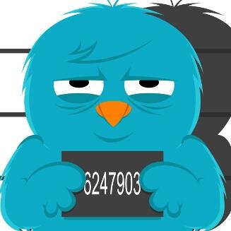 Follow Back Get Followers
