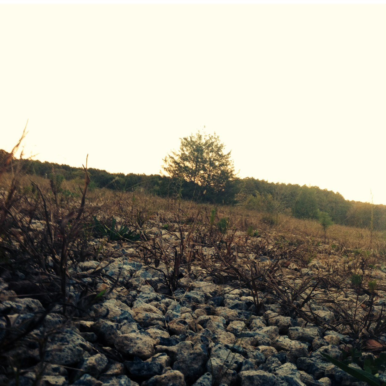 Chayzzer_'s profile picture. 