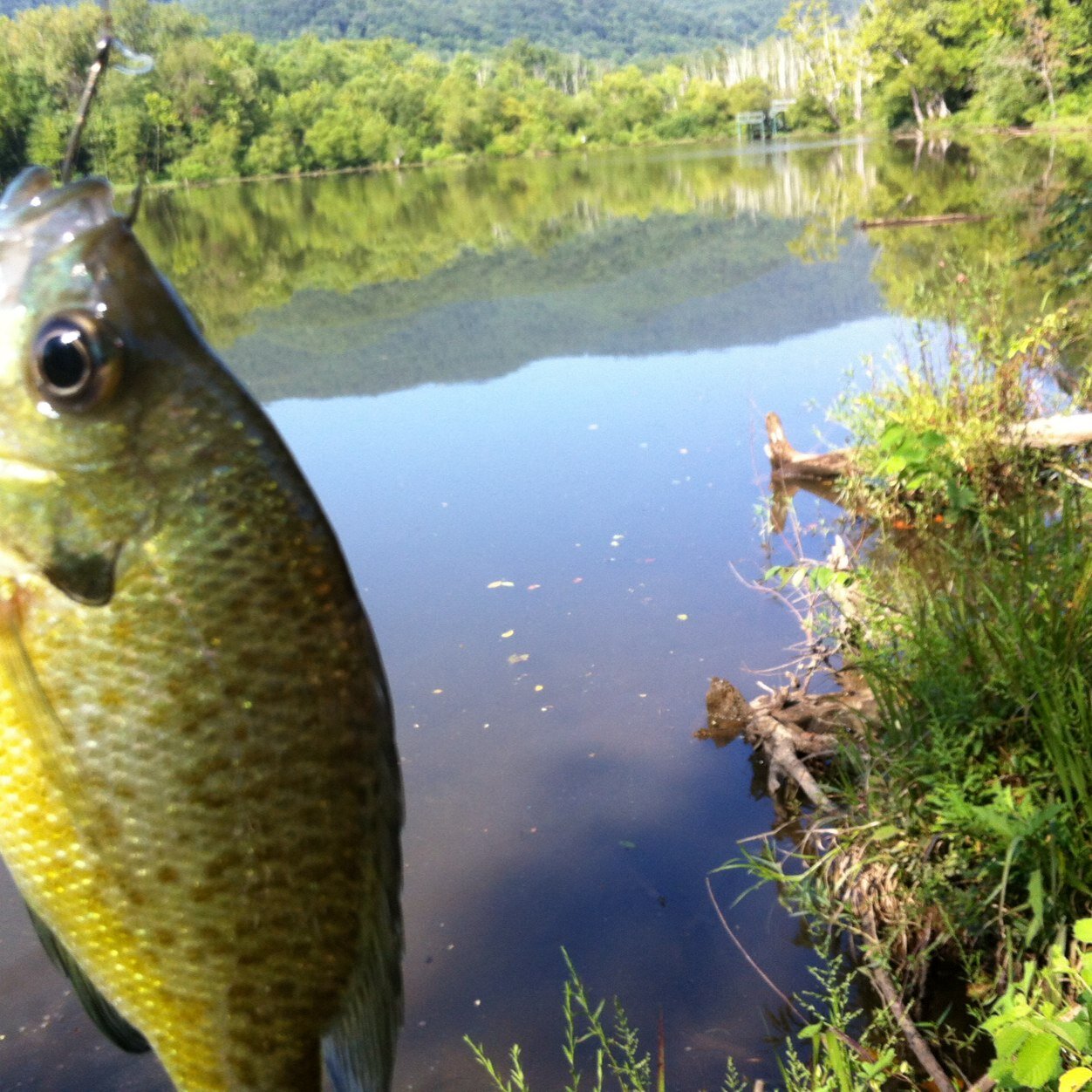 Faye_Tennessee's profile picture. 