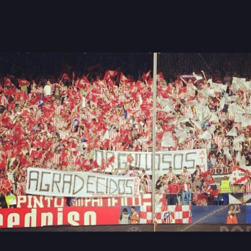 Dando guerra desde el 2000 // Vivente del calderon // 100% sangre rogiblanca // #atleti // #forzaatleti // cholista y ardaturanista // DE GEA