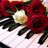 shana_drumrock's profile image