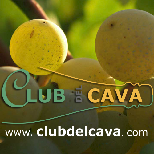 clubdelcava Profile Picture