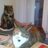 Elizabe98050683's profile image