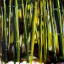 Brad Grant - @brad_grant - Twitter