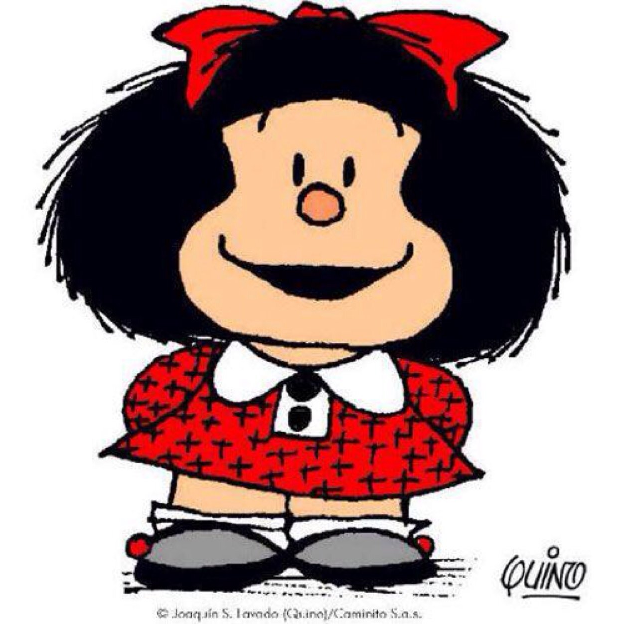 ani_saez's profile picture. 