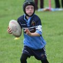 carol finney - @carolfinney72 - Twitter