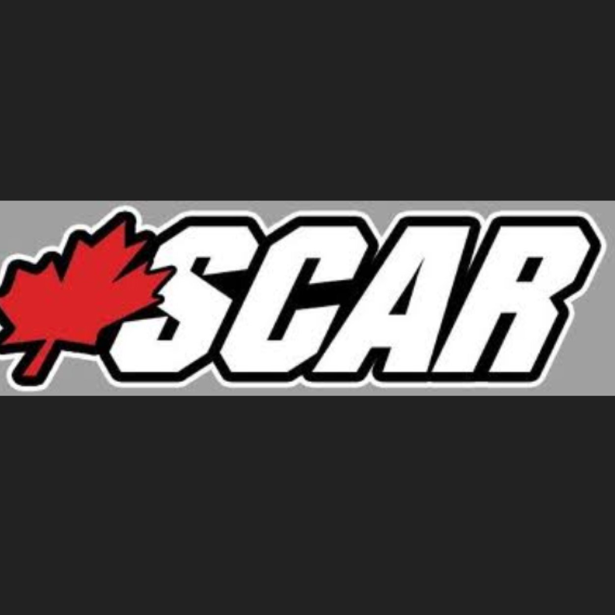 Recrute for ReaL mlg clan on CoD ( PS3 )
