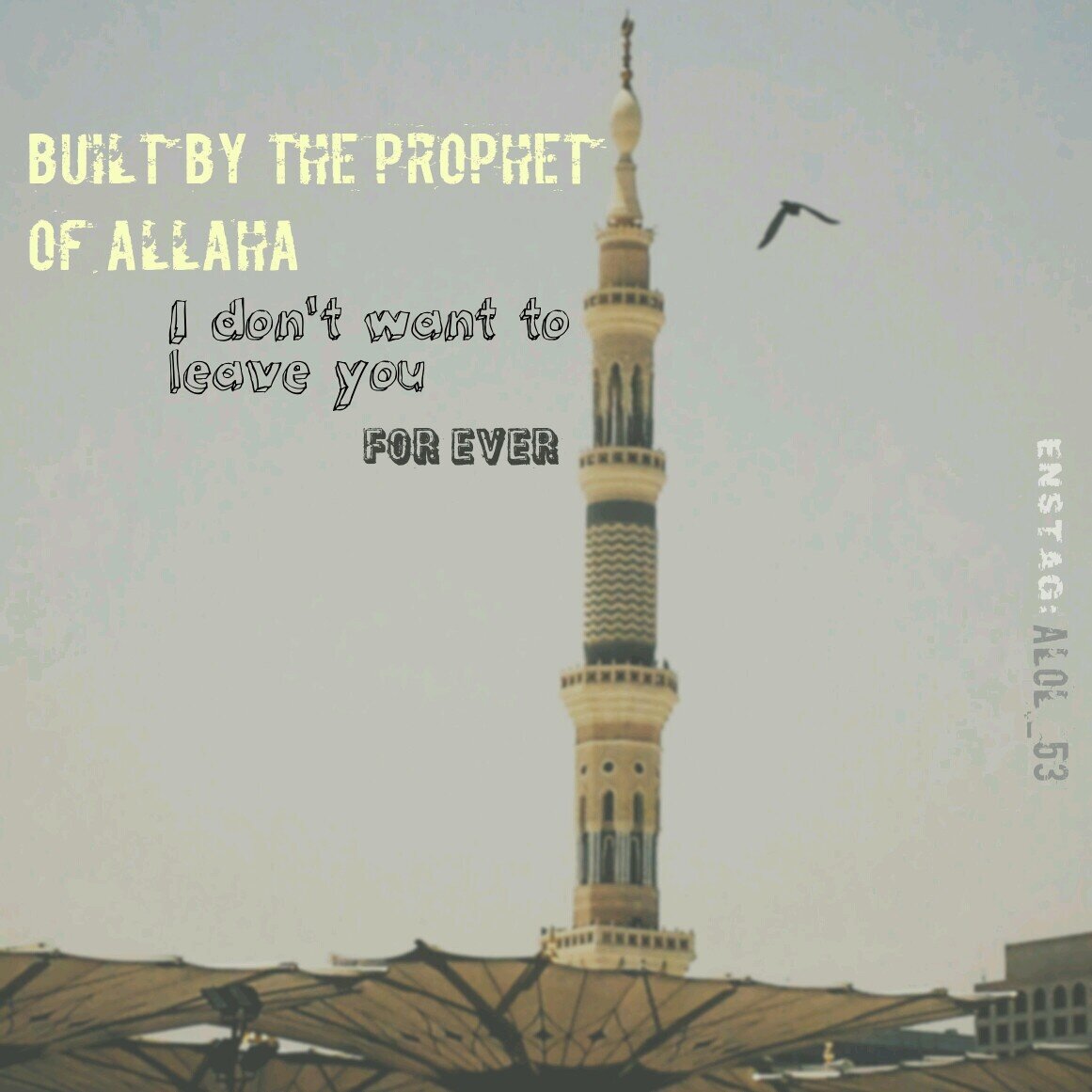 *I am from Medina                             
*I use camera Galaxy s4           
*instagram:@alol_53       *pin:7601B803
    * photographe Association de sub