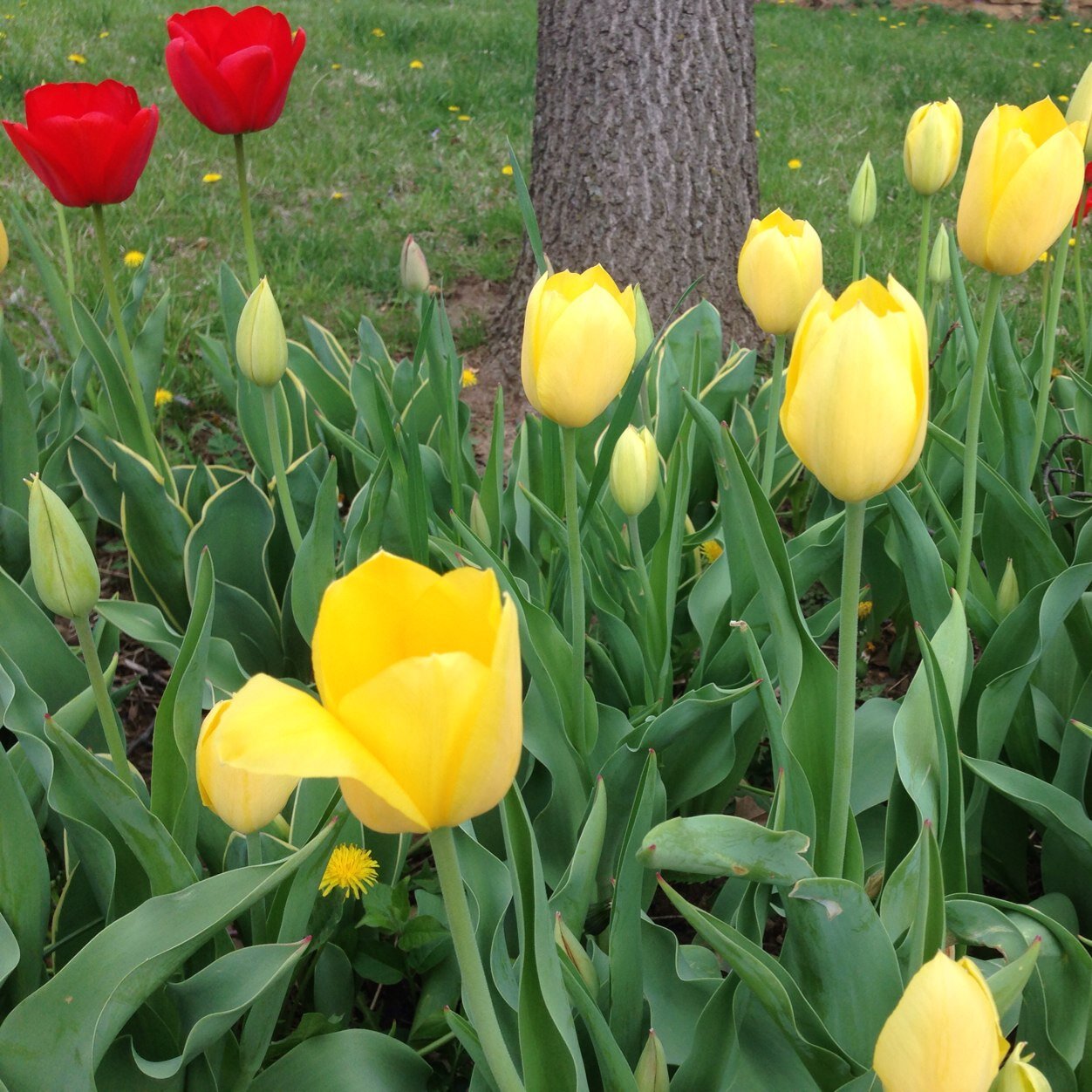 sellingre4you's profile picture. 