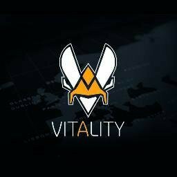 Compte fan @Team_Vitality ! #VforVictory