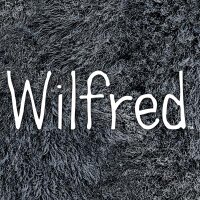 Wilfred (@wilfredfxx) 's Twitter Profile Photo Wilfred (@wilfredfxx) 's Twitter Profile Photo