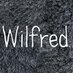 Wilfred (@wilfredfxx) Twitter profile photo Wilfred (@wilfredfxx) Twitter profile photo