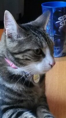 keljam1909's profile picture. 