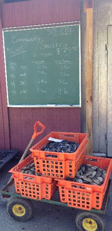 Community Shellfish is one of Mid Coast Maine’s premier dealers and processors of seafood