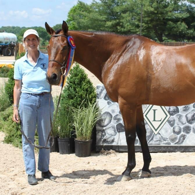 TB Advocate,  OTTB Rescue/Retrain, Preakness Pimlico Sunrise Tour Head Guide & Timonium