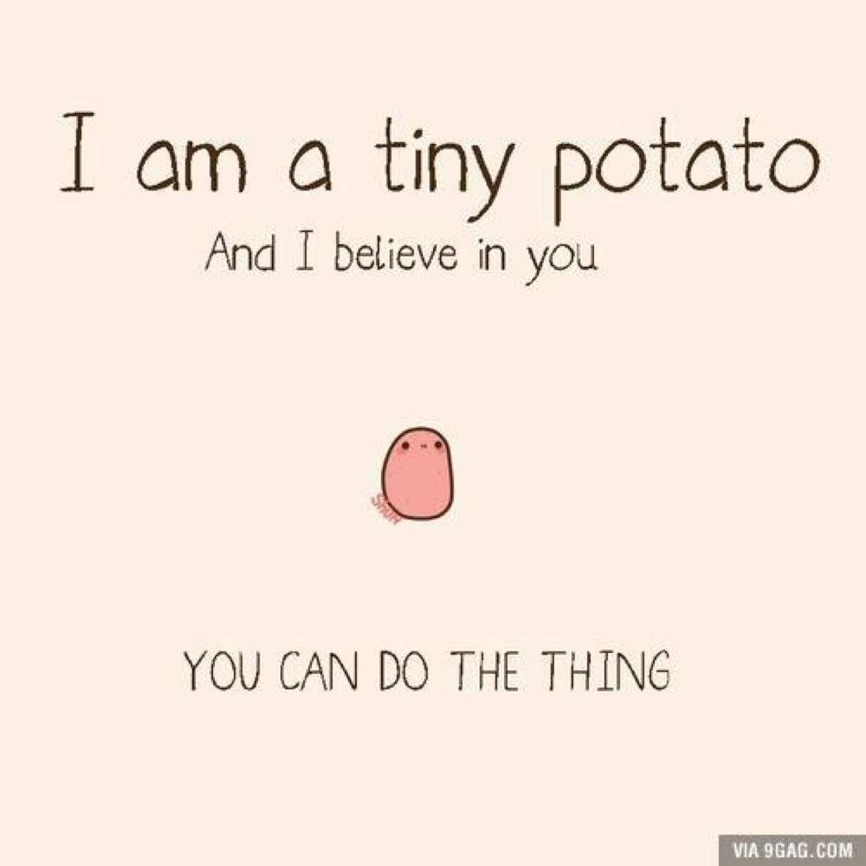 Life is cute