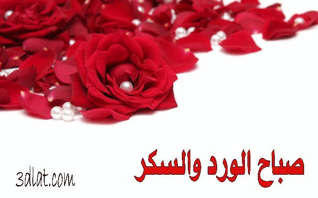 ‏ملغيييييييي