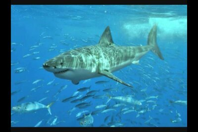 034c2e4d00e0445's profile picture. Hi