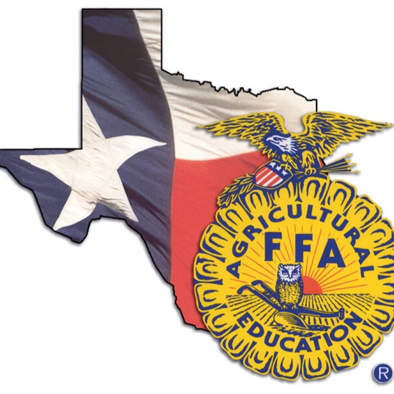 The Pride of Texas, 3 Gold Star National Chapter Rating, Gold Star Golden Horizon Chapter, and Living to Serve