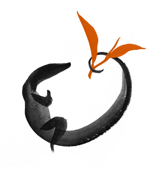 Butikiteas's profile picture. We offer a selection of high quality, unique, and rare specialty teas from around the world.  All of our teas are vegan and most are allergen free.