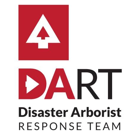 DART International UK - an international response team of volunteer highly trained, experienced arboricultural professionals and shelter specialists.