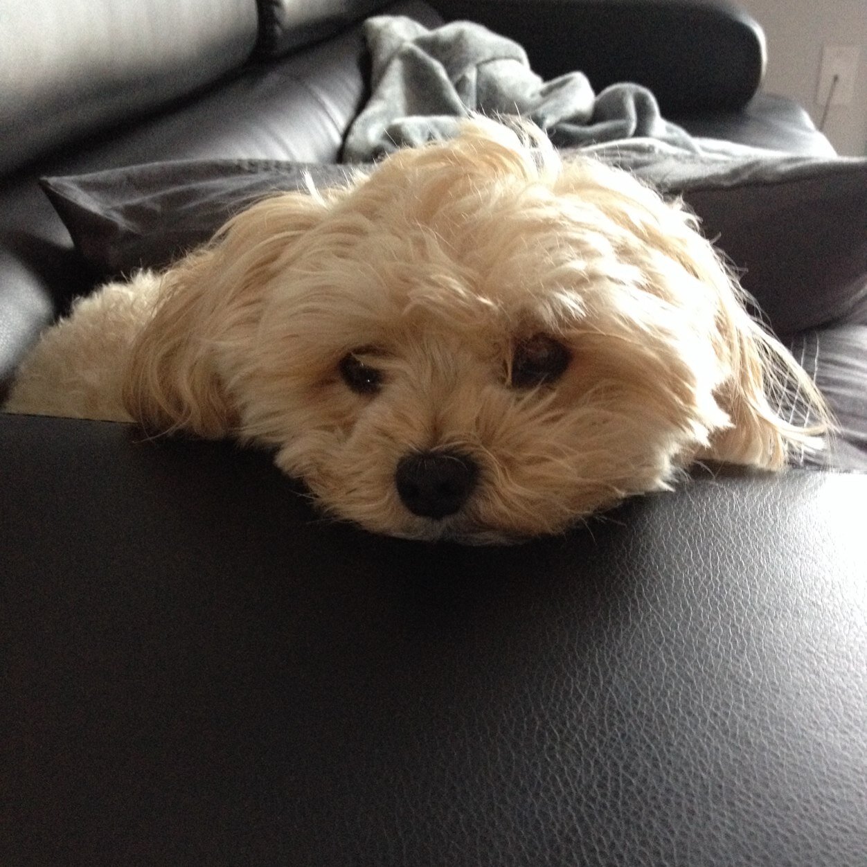 babbo22's profile picture. 