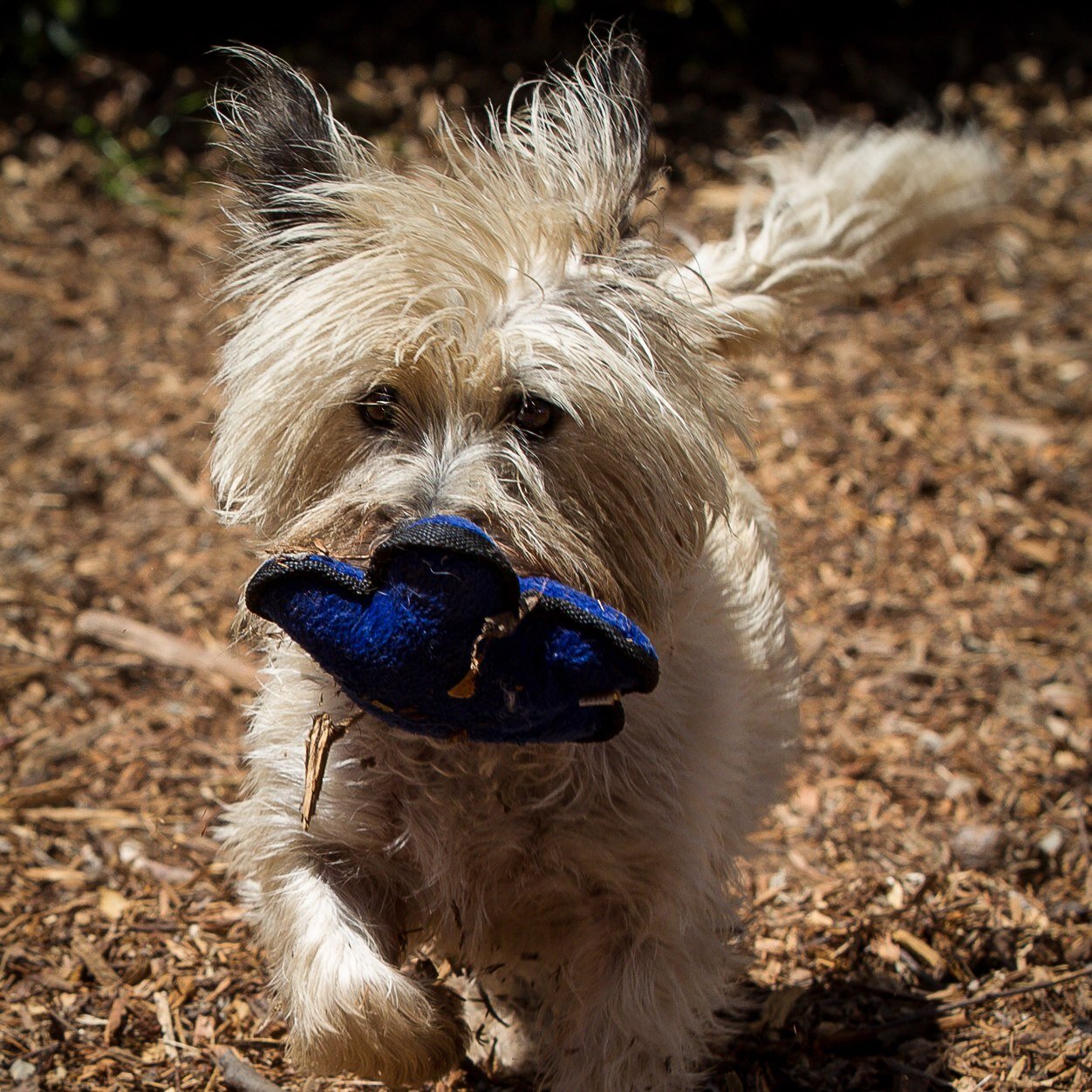 Small animal and exotic veterinarians that love their work in Southern California. 
Open 7 days a week.