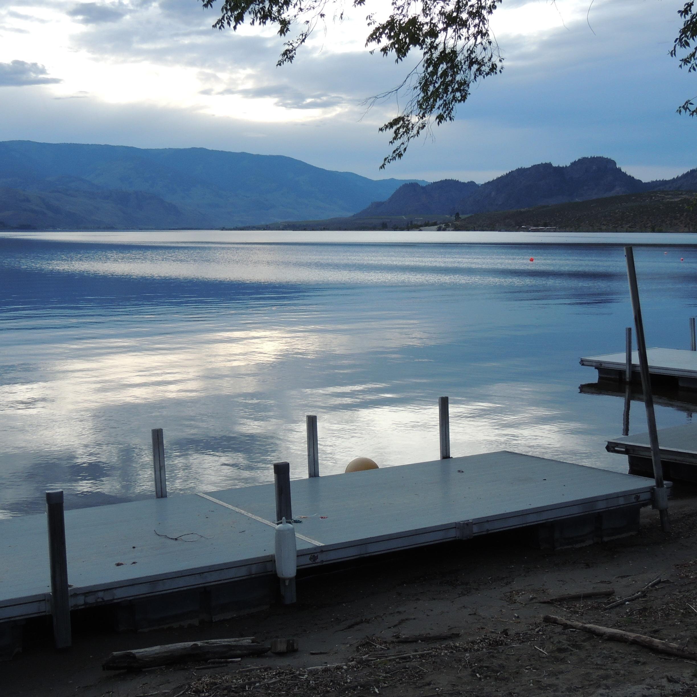 parrogfx's profile picture. 