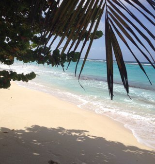 LilacKnight's profile picture. 