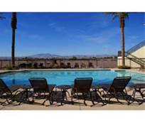 bocaratonmgr's profile picture. 