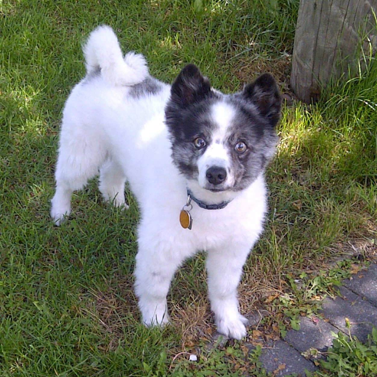 kstar1976's profile picture. 