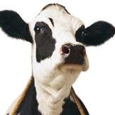 Chick-fil-A Medical Center
4715 Medical Dr
San Antonio, TX 78229
(210) 615-5293
