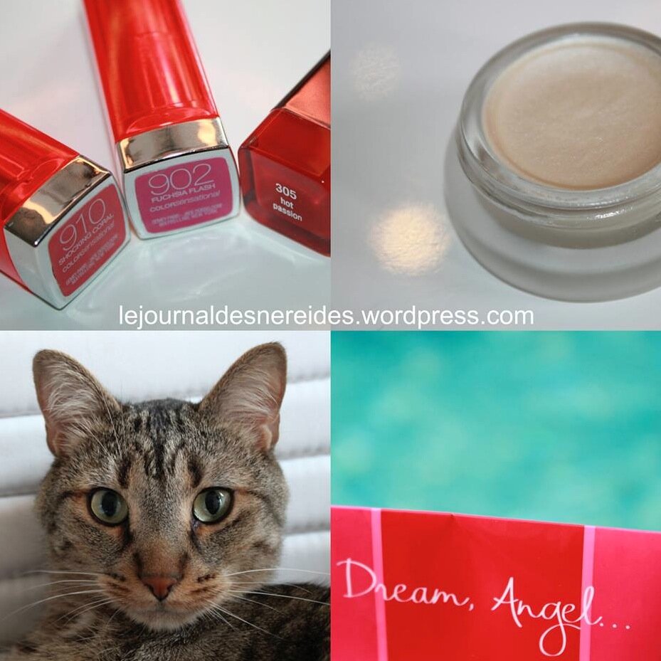 Beauty blogger, fan de make up & séries TV, dingue de chats et de fringues