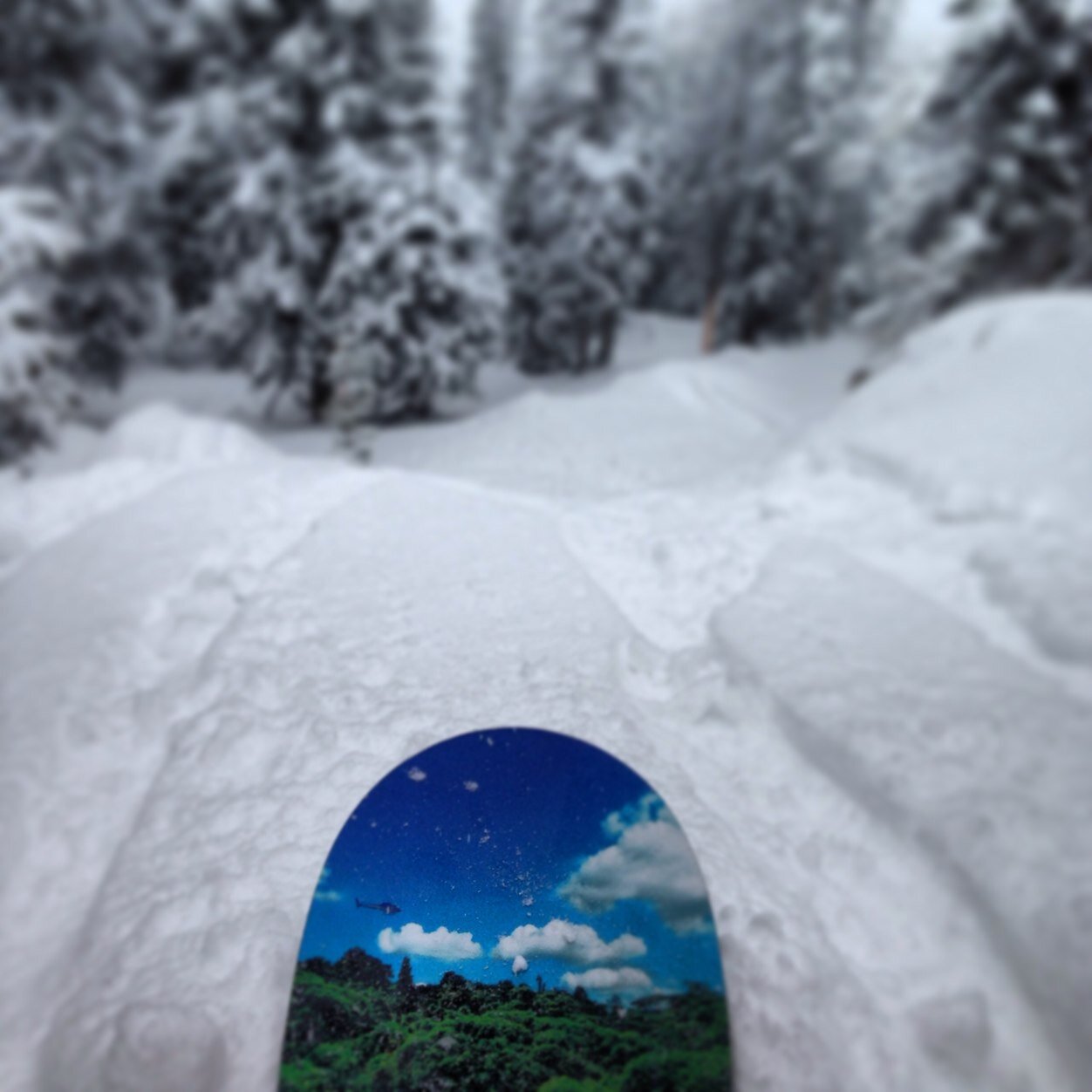 Follow for amazing outdoor sport photos