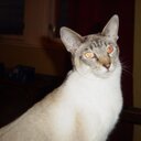 pam frame - @pamframe1 - Twitter