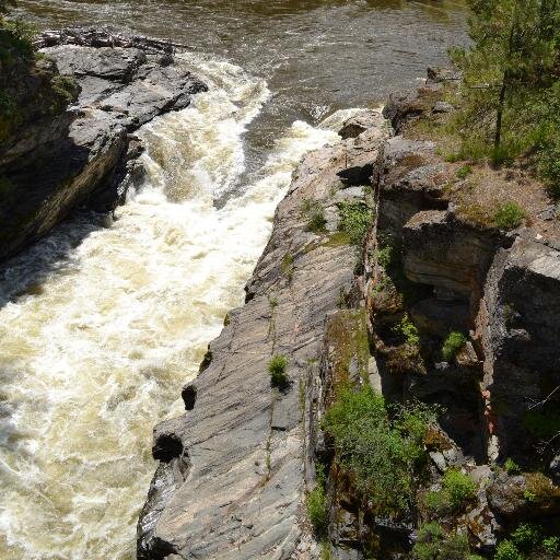 CLWelcomeCentre's profile picture. 