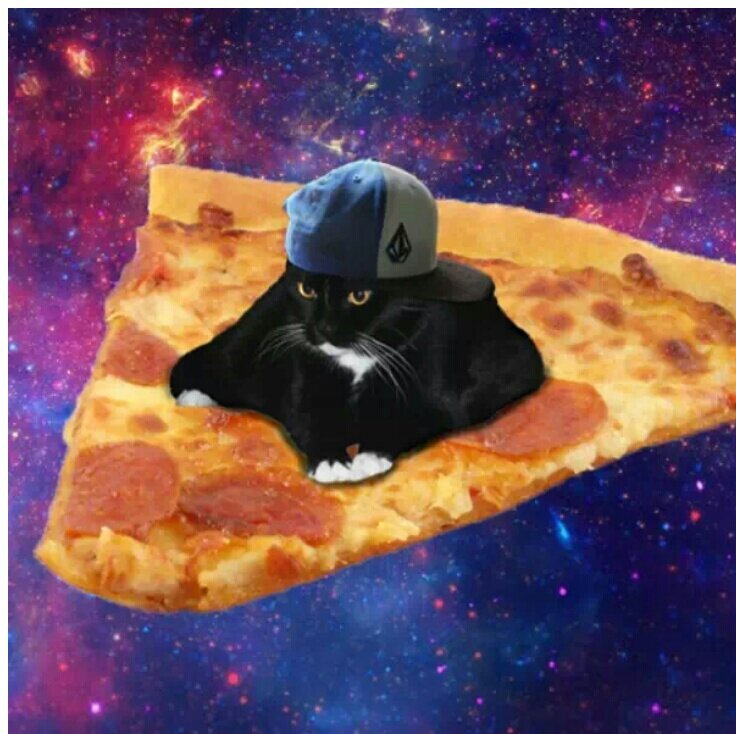 Slash1569's profile picture. Can't handle it.