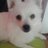 anaguti1's profile image