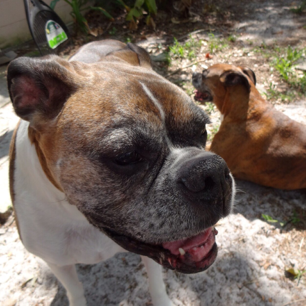 tpalamar's profile picture. 